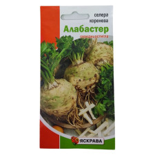 Насіння Яскрава Селера коренева Алабастер 0,2гр Середньостигла 