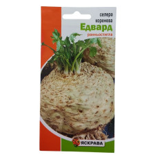 Насіння Яскрава Селера коренева Едвард 0,2гр Ранньостигла
