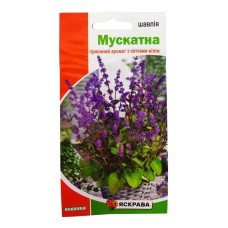 Насіння Яскрава Шавлія Мускатна 0,2гр з нотками м'яти  