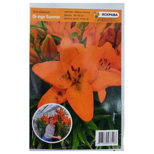 Цибулина Яскрава Лілія Азіатська 1шт Orange Summer