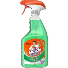 Засіб для скла Mr. Muscle зі спиртом Ранкова роса, 500мл