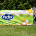 Туалетний папір Prefex 3-х шаровий Camomile 10 шт.