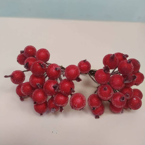 Гілки калини 1шт Цукор 