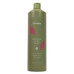 Шампунь для фарбованого волосся Echosline Vegan Color Care 1л