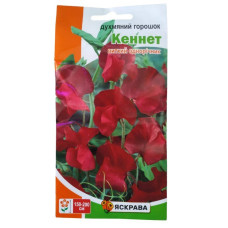 Насіння Духм'яний горошок Кеннет Яскрава 1г Червоний Виткий однорічник