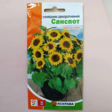 Насіння Яскрава Соняшник Декоративний Санспот низький 2г однорічник