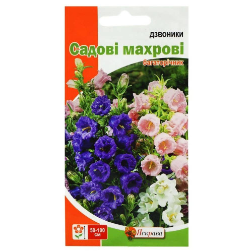 Насіння Дзвоники Садові Махрові Яскрава 0,2г багаторічник