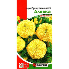 Насіння Яскрава Чорнобривці восокорослі Аляска 0,5г Лимонні однорічник