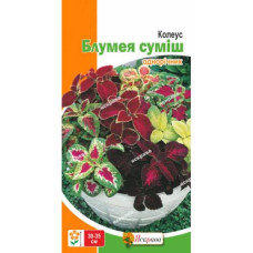 Насіння Яскрава Колеус Блумея суміш 0,1г однорічник