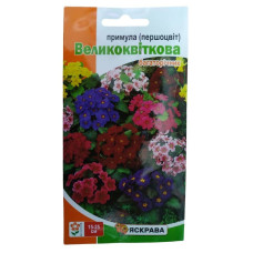 Насіння Примула (першоцвіт) Великоквіткова Яскрава  0,1г багаторічник