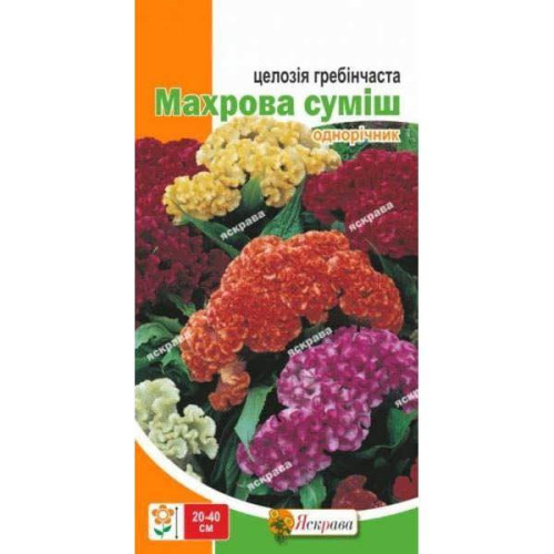 Насіння Яскрава Целозія Гребінчаста Махрова суміш 0,3г однорічник