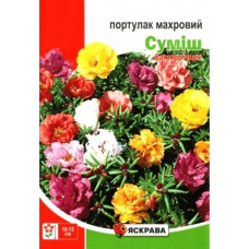 Насіння Яскрава Портулак махровий суміш 0,02г однорічник