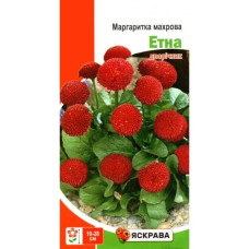 Насіння Яскрава Маргаритка махрова Етна Червона 0,1г дворічник