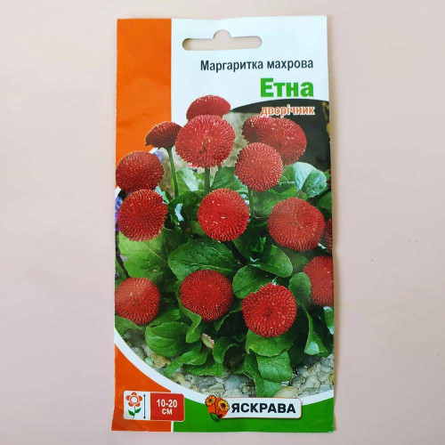 Насіння Яскрава Маргаритка махрова Етна Червона 0,1г дворічник