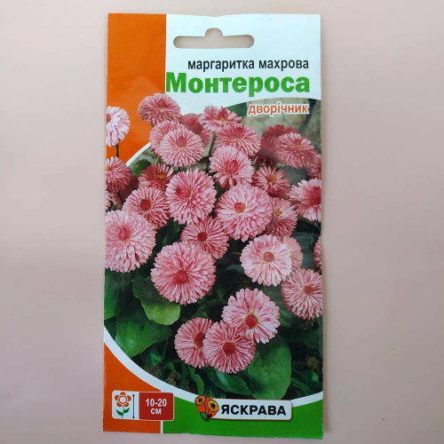 Насіння Яскрава Маргаритка махрова Монтероса Рожева 0,1г дворічник