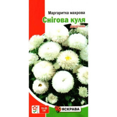 Насіння Маргаритка махрова Снігова куля Біла Яскрава  0,1г дворічник