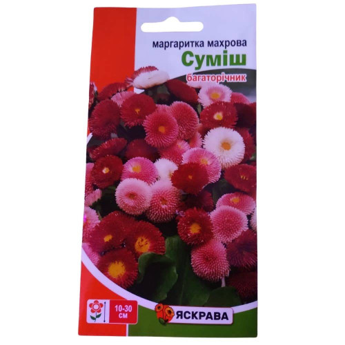 Насіння Маргаритка махрова Яскрава  суміш 0,1г багаторічник
