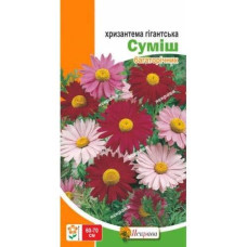 Насіння Яскрава Хризантема Гігантська суміш 0,2г багаторічник
