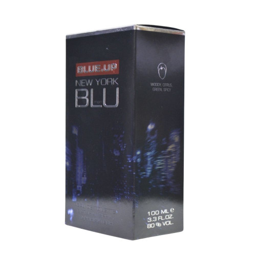 Чоловіча туалетна вода Blue Up 100мл New York Blu