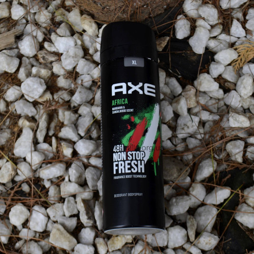 Чоловічий дезодорант спрей Axe 150мл Річардж