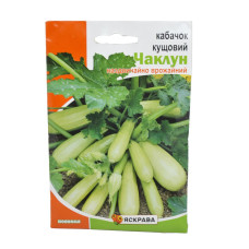 Насіння Яскрава Кабачок кущовий Чаклун 20г
